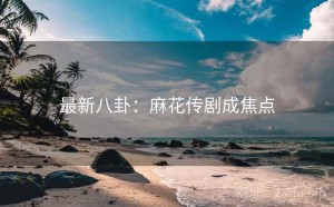 最新八卦:麻花传剧成焦点