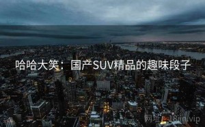 哈哈大笑:国产SUV精品的趣味段子