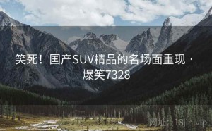 笑死!国产SUV精品的名场面重现 · 爆笑7328