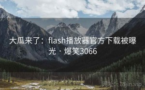 大瓜来了:flash播放器官方下载被曝光 · 爆笑3066