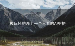被玩坏的晚上一个人看的APP梗