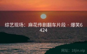 综艺现场:麻花传剧翻车片段 · 爆笑6424