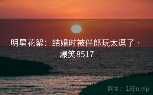明星花絮:结婚时被伴郎玩太逗了 · 爆笑8517