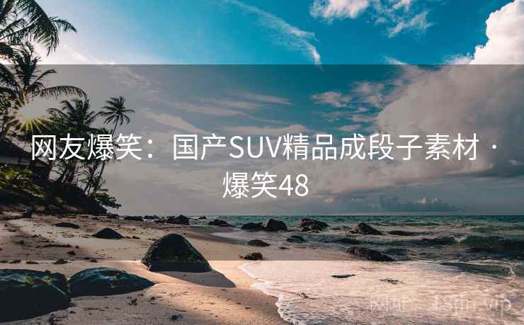 网友爆笑:国产SUV精品成段子素材 · 爆笑48 网友爆笑:国产SUV精品成段子素材 · 爆笑48
